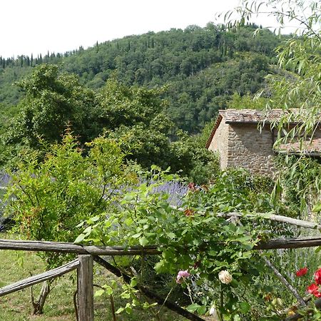 Villa Il Capriolo San Cerbone Esterno foto