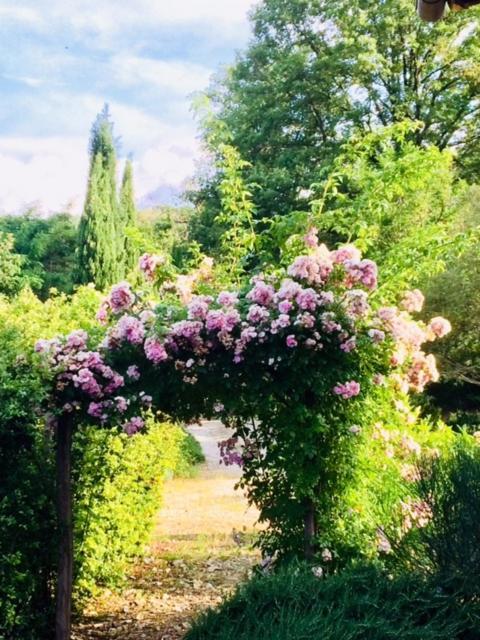 Villa Il Capriolo San Cerbone Esterno foto