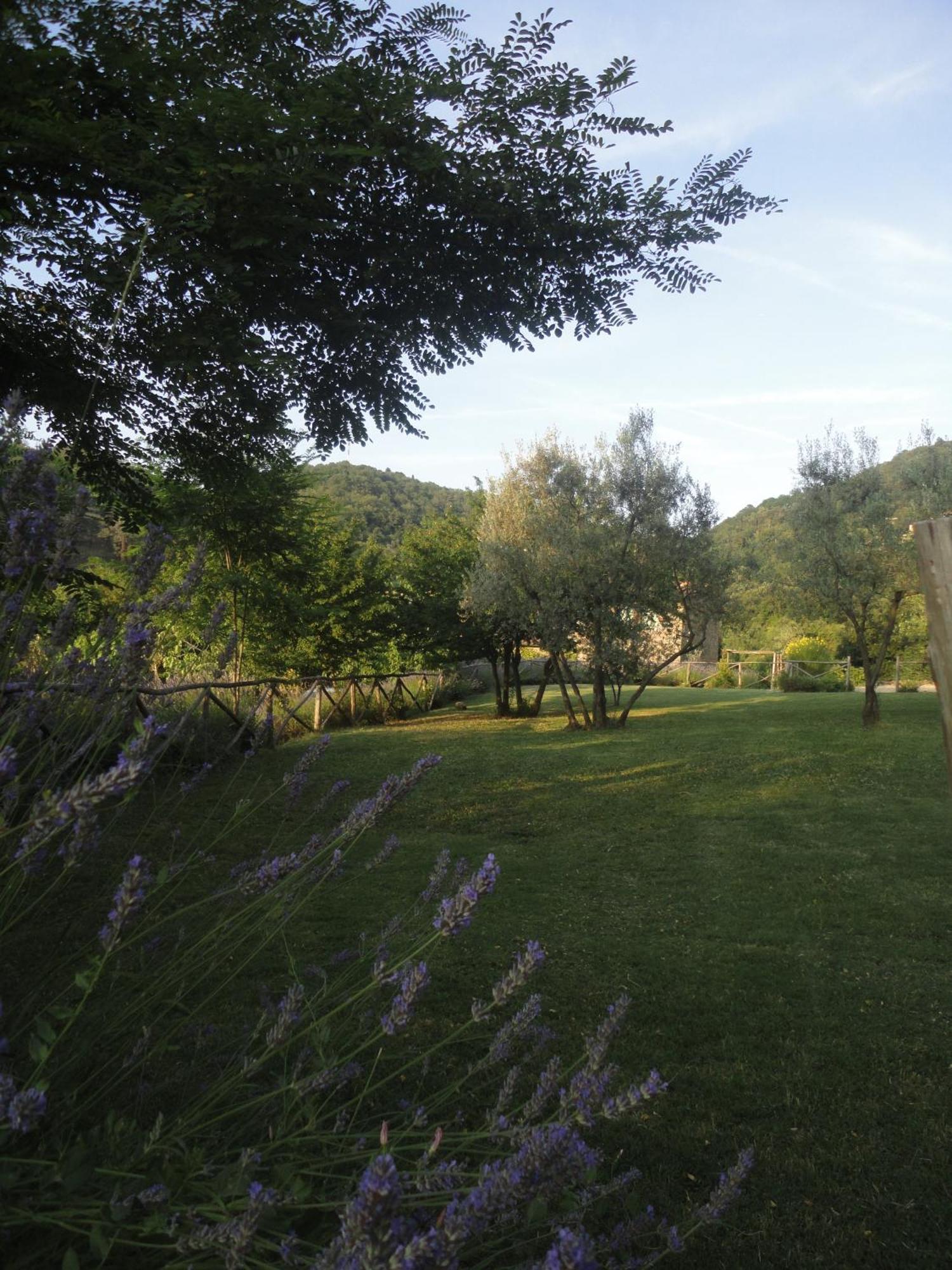 Villa Il Capriolo San Cerbone Esterno foto