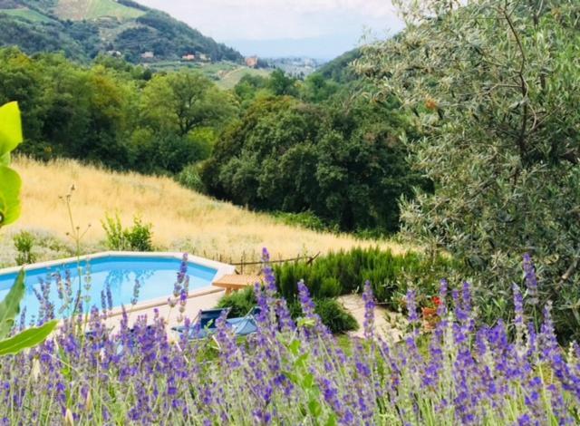 Villa Il Capriolo San Cerbone Esterno foto