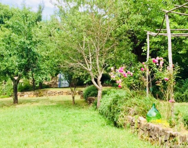 Villa Il Capriolo San Cerbone Esterno foto