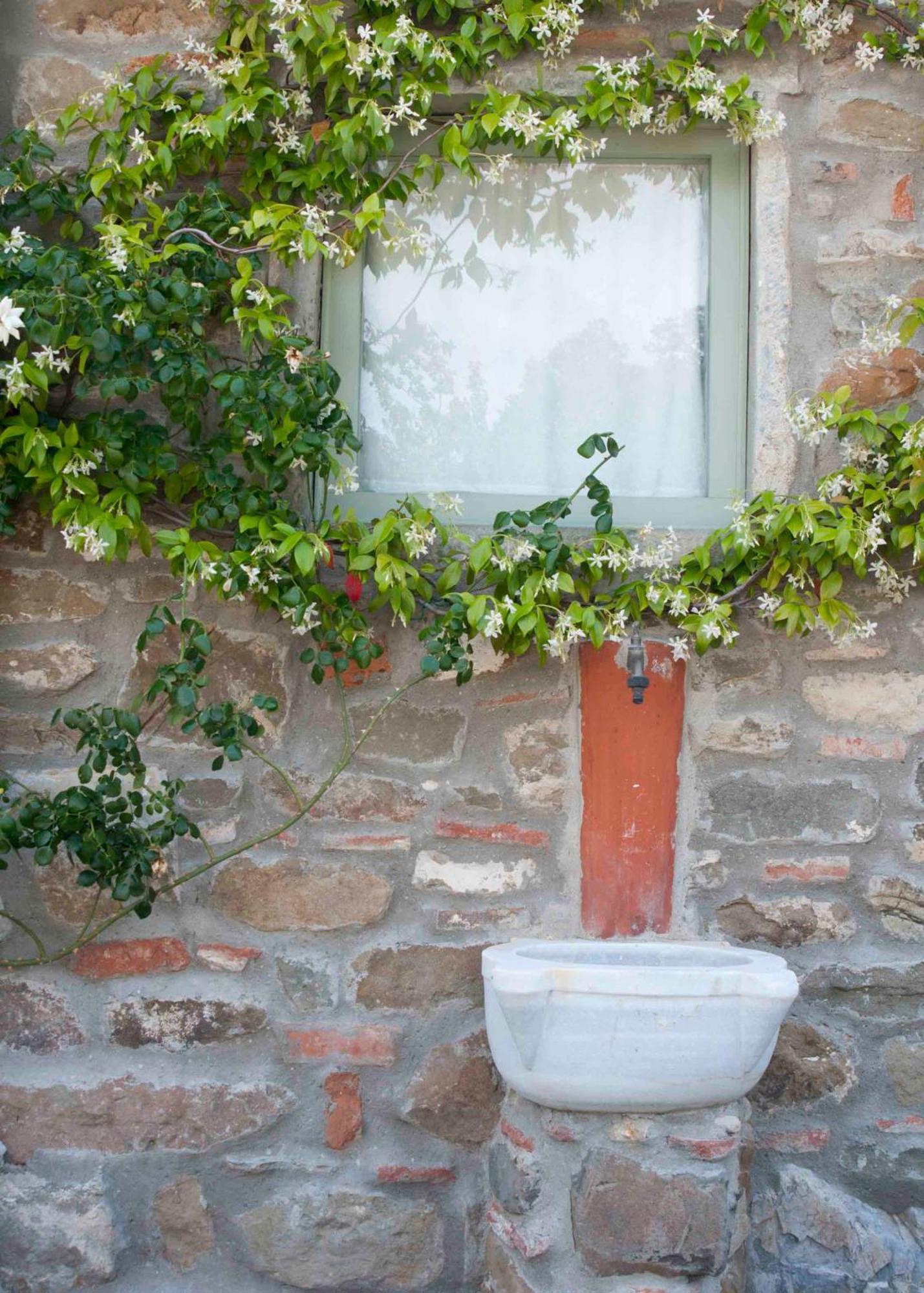 Villa Il Capriolo San Cerbone Esterno foto