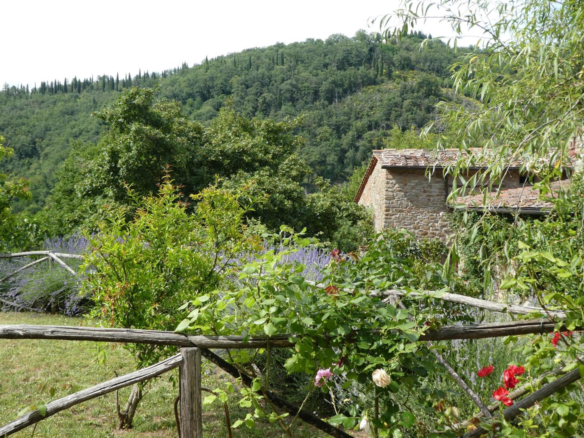 Villa Il Capriolo San Cerbone Esterno foto