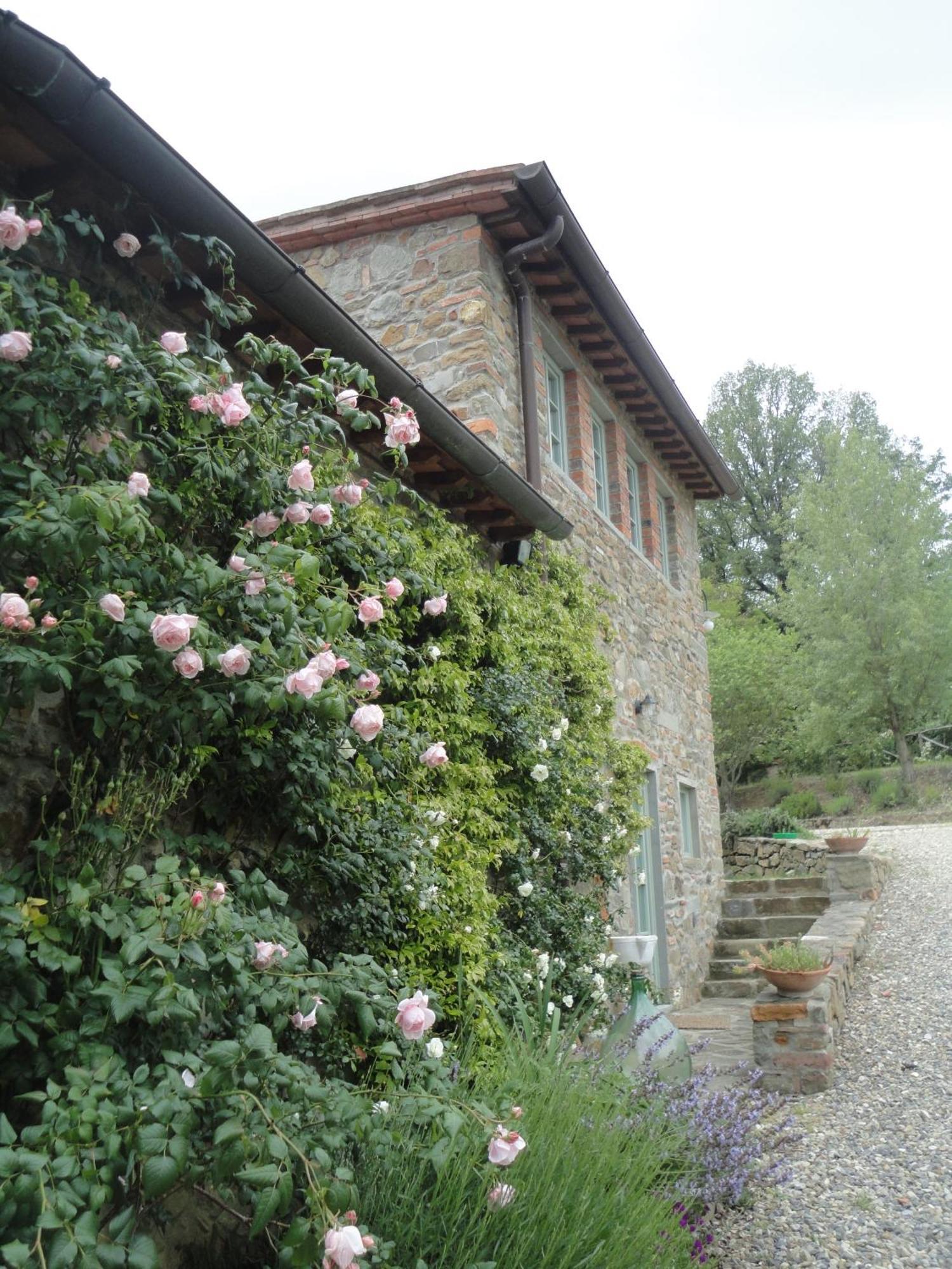 Villa Il Capriolo San Cerbone Esterno foto