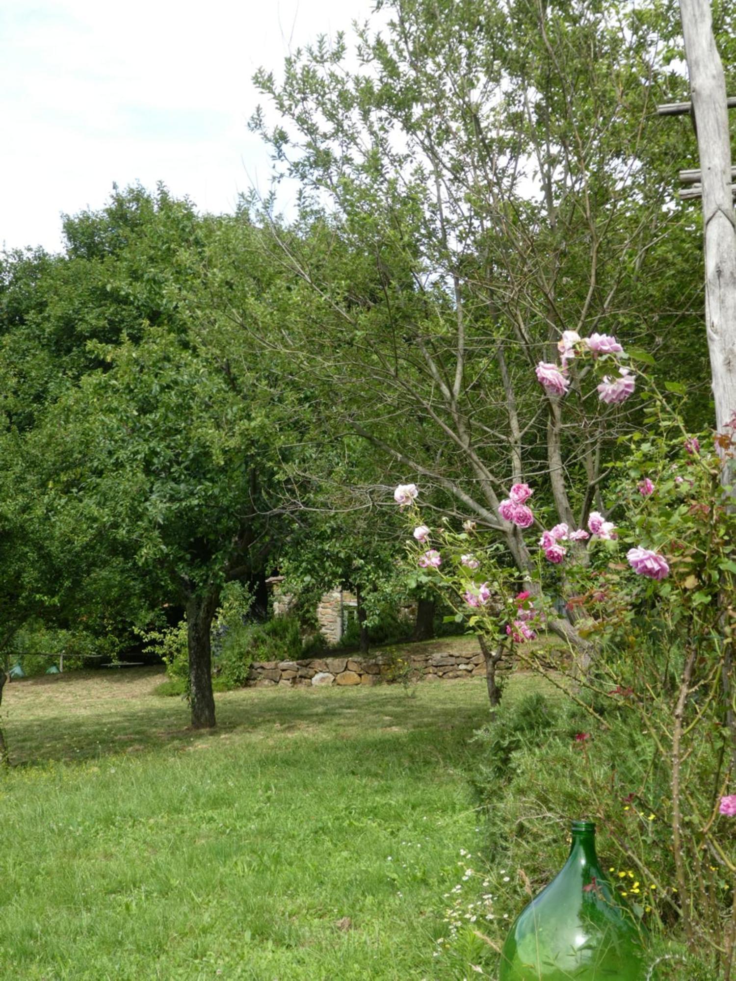 Villa Il Capriolo San Cerbone Esterno foto